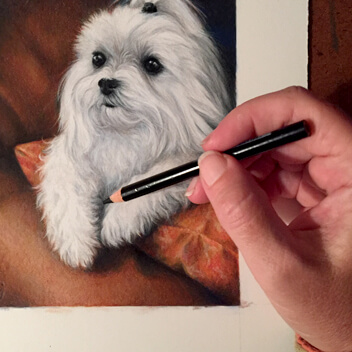 drawing-a-pet-portrait