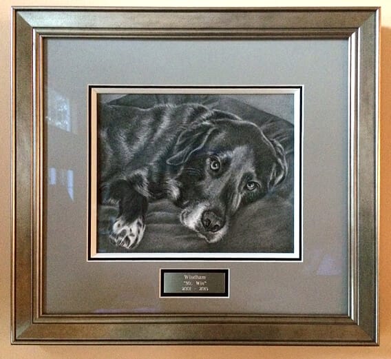 windham black dog drawing