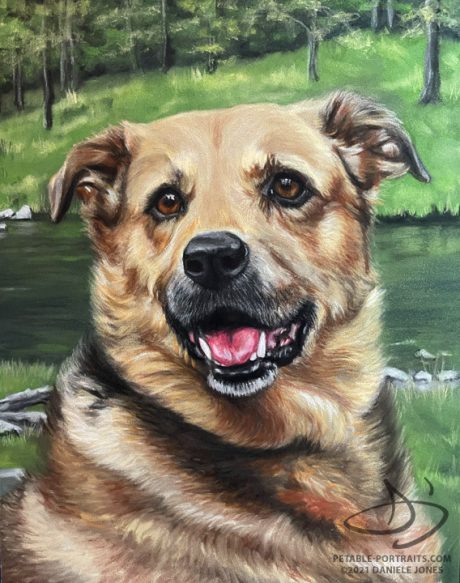 red-dog-portrait